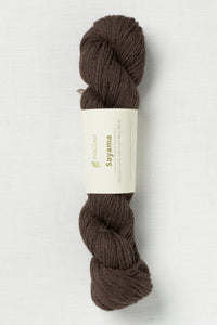 Pascuali Sayama 331 Chocolate
