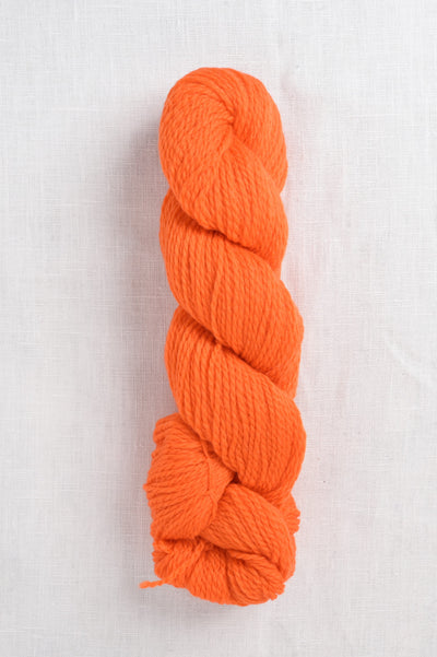 Cascade 220 Sport 9542 Blaze