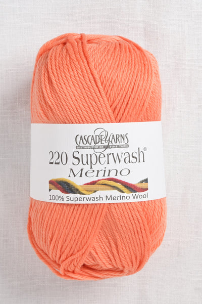 Cascade 220 Superwash Merino 07 Bird of Paradise