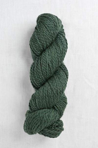 Cascade 128 Superwash 1918 Shire