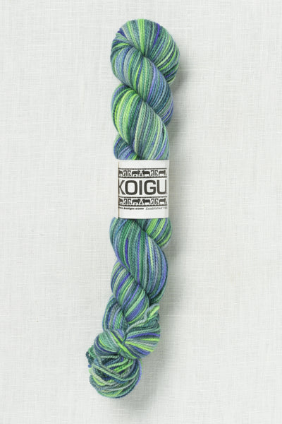 Koigu Painter's Palette Premium Merino KPPPM P067