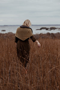 Laine The Island and the Forest by Lotta H. Løthgren & Arika Åberg