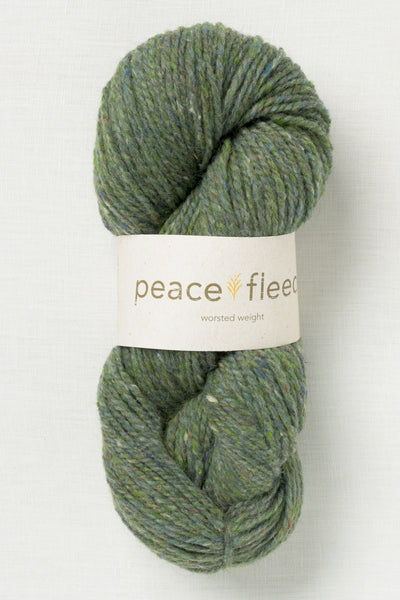 Peace Fleece Worsted Anna’s Grasshopper