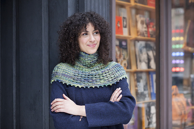 Malabrigo Book 18: Rios & Washted; Interchangeable Yarns