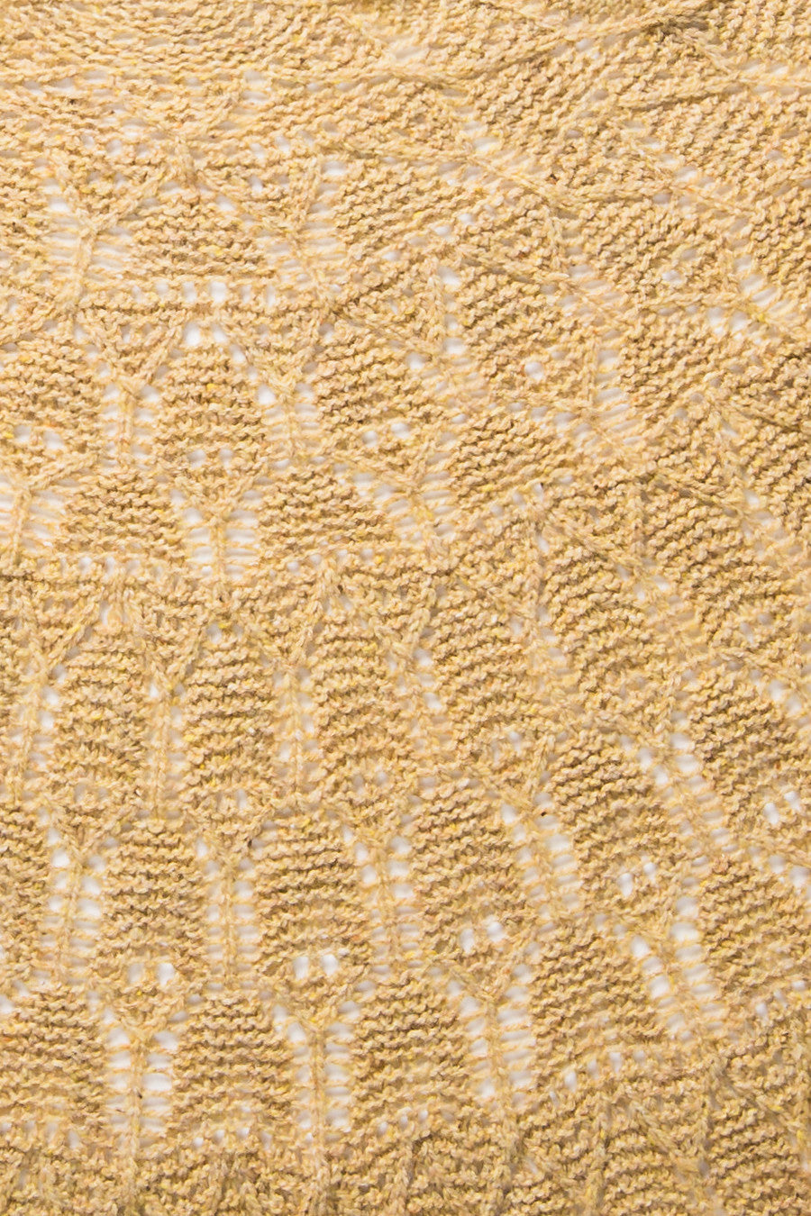 Paddock Shawl