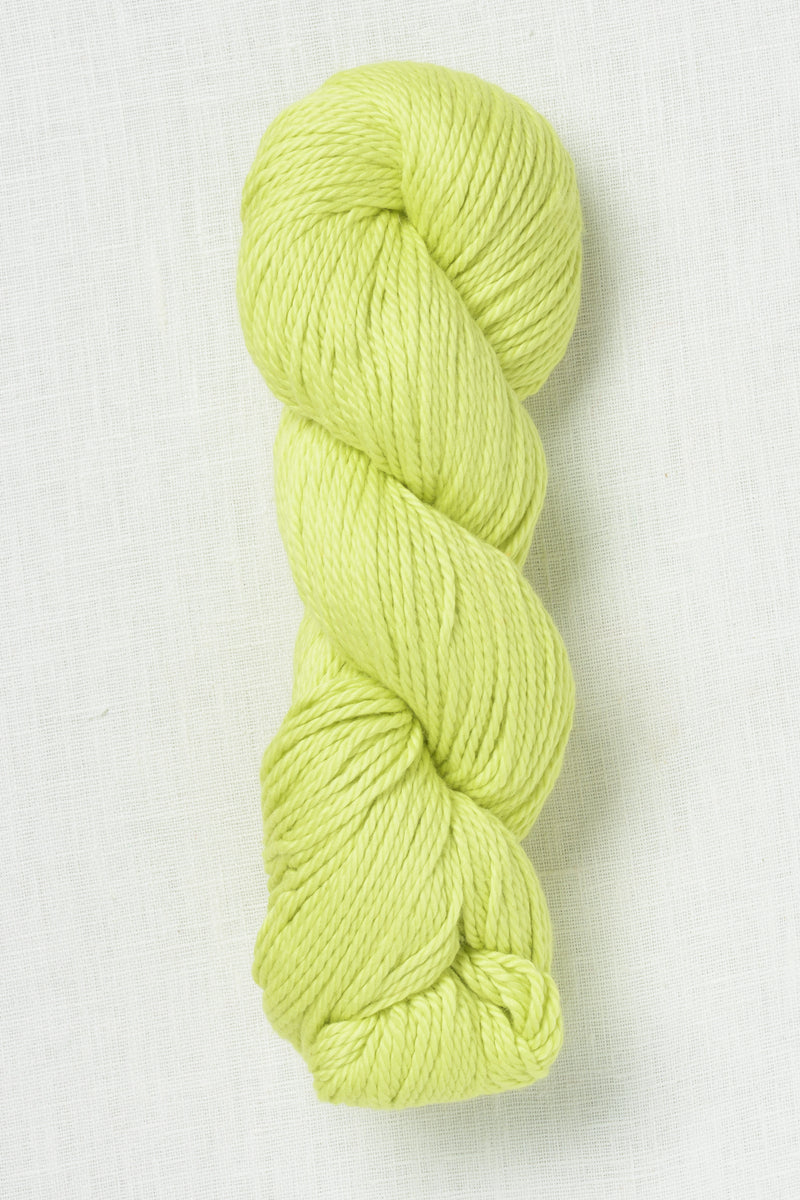 Amano Sami XL 2402 Phosphorus
