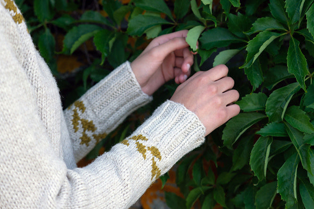 Encompass Pullover