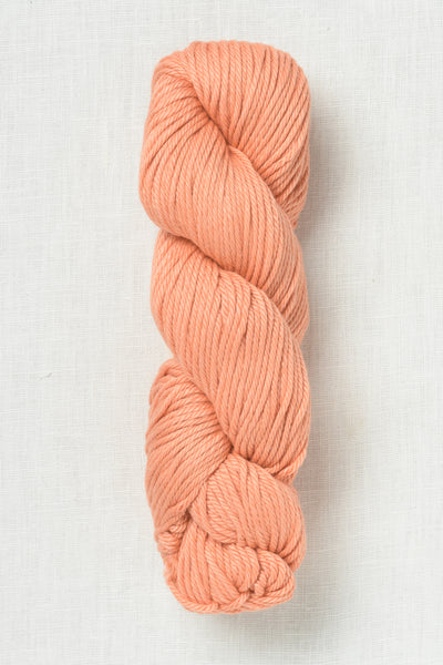 Amano Turay 2304 Peach Sorbet